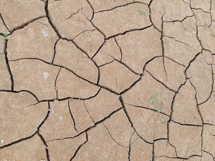 Drought 1690330 960 720.jpg